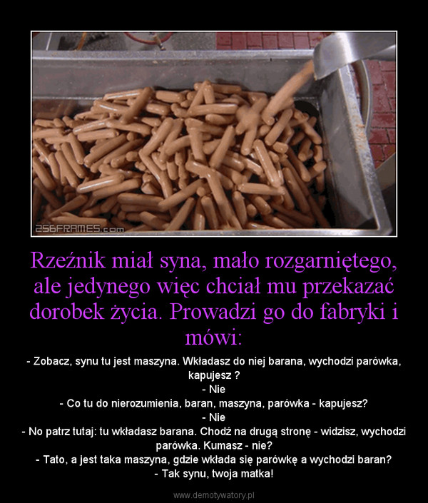 parowki.jpeg