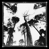 Ancestors Blood - When the Forest Calls
