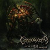 Corporectomy - Within the Weak and the Wounded
