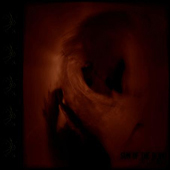 Sun Of the Blind - Skullreader
