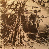 W.A.I.L. - Wisdom through Agony into Illumination and Lunacy