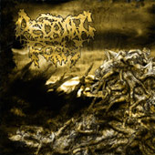 Decaying Form - Chronicles of Decimation
