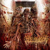 Fleshrot - Traumatic Reconfiguration