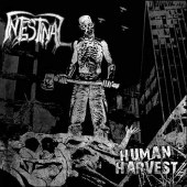 Intestinal - Human Harvest
