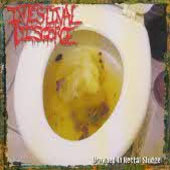 Intestinal Disgorge - Drowned in rectal sludge