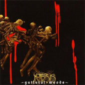 Koreopsis - Guttural woods