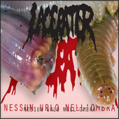 Lacerater - Nessun Urlo Nell'Ombra