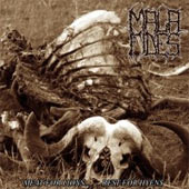 Mala Fides - Meat for lions... ...bones for hyenas