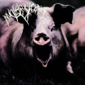 Nuclear Vomit - Bestial Masturbation