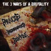 Parricide / Incarnated / Reexamine - The 3 Ways Of A Brutality