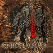 Spinal Cord - Remedy
