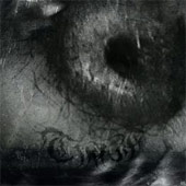 Thaw - Advance
