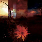 To-Mera - Transcendental