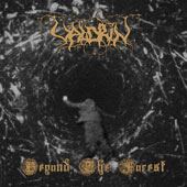 Valdrin - Beyond the Forest