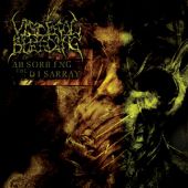 Visceral Bleeding - Absorbing the Disarray